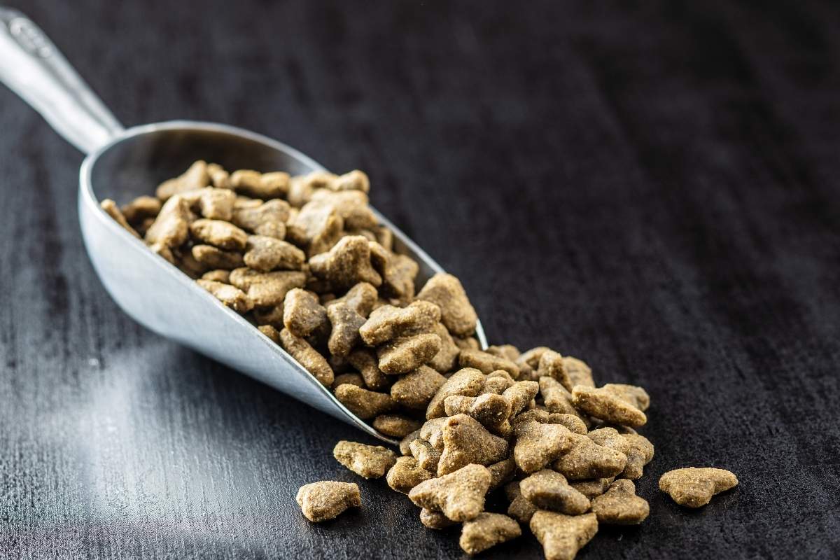 Croquettes pour chien sans céréales pourquoi les choisir pour la santé et le bien-être de votre compagnon à quatre pattes 