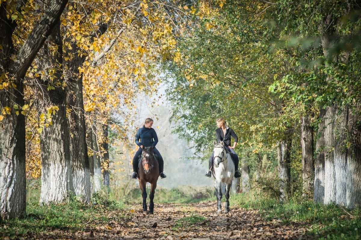 École d'ostéopathie animale votre avenir professionnel